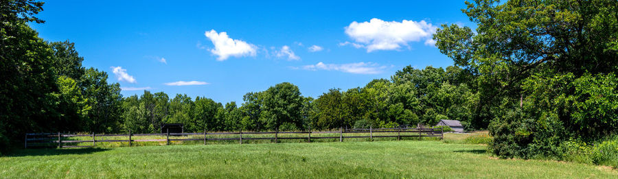 Panoramic shot of trees on field against sky