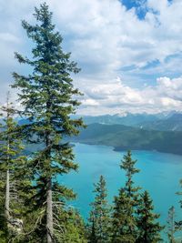 Scenic view of lake and trees against sky