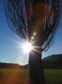 Scenic view of grassy field against sky