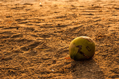 Close-up of ball on sand