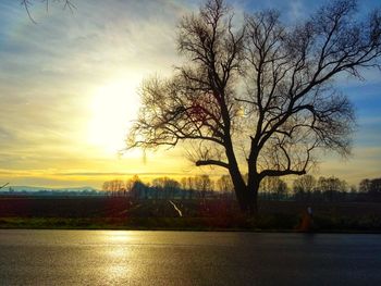 Silhouette bare tree by lake against sky during sunset