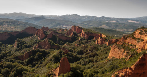 High angle view of trees on mountain