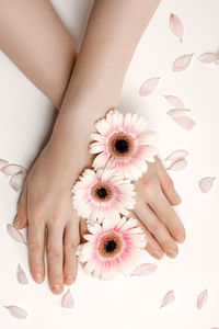 Close-up of woman hand holding white flowering plants