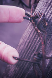 Close-up of cropped hand