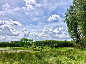 Scenic view of field against sky