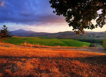 Scenic view of field against sky during sunset