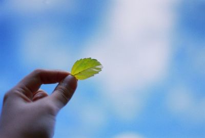 Close-up of hand holding blue sky