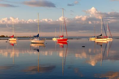 Sailboats in marina