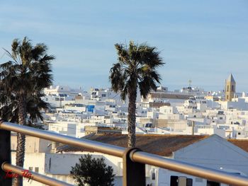 Palm trees in city against clear sky