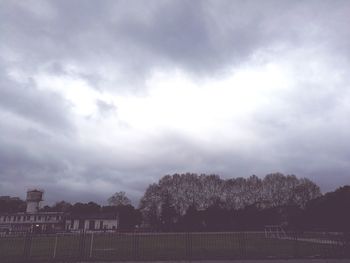 Trees against sky