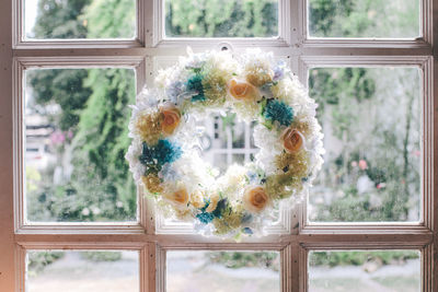 Close-up of glass window on tree