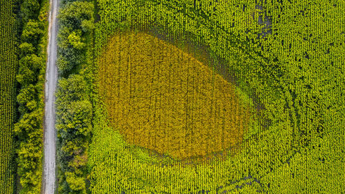 Aerial view of agriculture land