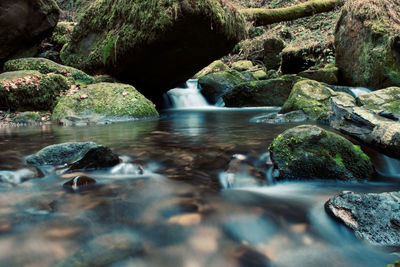 Scenic view of waterfall in forest