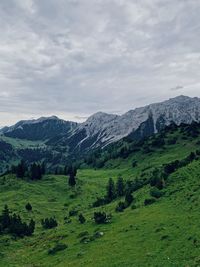 Scenic view of landscape and mountains against sky