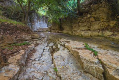 Stream flowing through rocks in forest