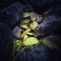 Full frame shot of stones