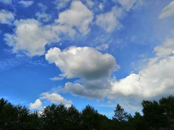 Low angle view of trees against sky