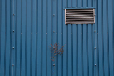 Full frame shot of blue metal door with plant