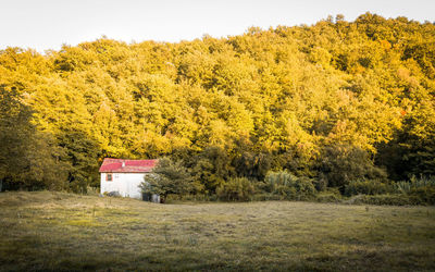 Scenic view of field during autumn