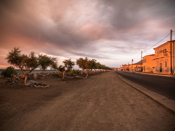 Road amidst trees and buildings against sky during sunset