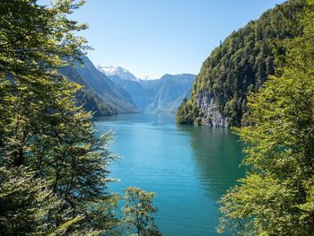 Scenic view of lake by trees against sky