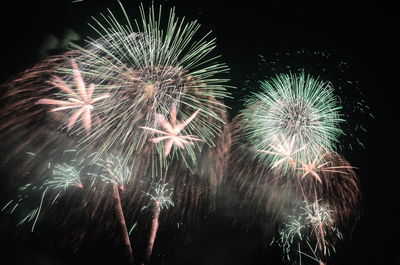 Low angle view of firework display at night