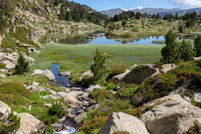 Pond with water between mountains with green grasses