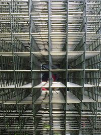 Bird perching in cage