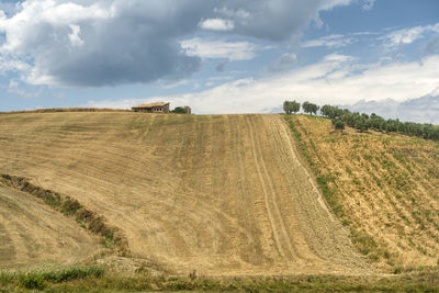 Scenic view of agricultural field against sky