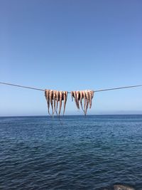 Clothes hanging on rope against sea against clear blue sky