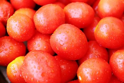 Full frame shot of tomatoes with raindrops 