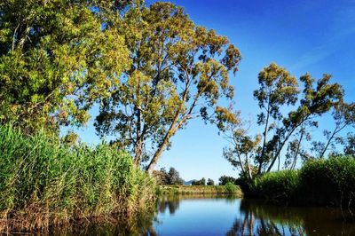 Scenic view of lake against clear blue sky