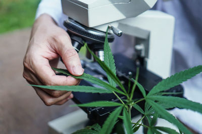 Close-up of man working on plant