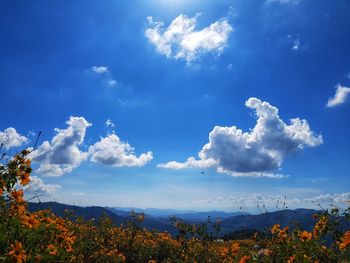 Scenic view of blue sea against sky