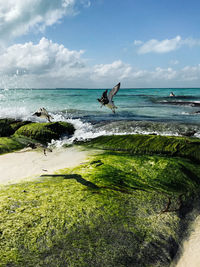 Birds flying over sea against sky