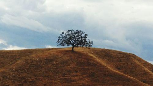 Scenic view of landscape against cloudy sky