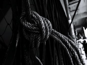 Close-up of ropes tied outdoors