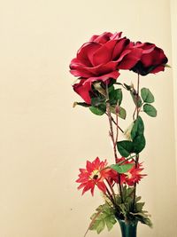 Close-up of red flowers