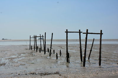 Wooden posts on beach against clear sky