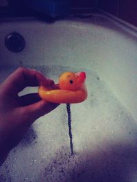 animal representation