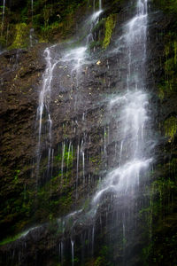 Water flowing through rocks in forest