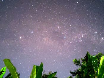 star