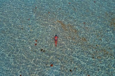 High angle view of mid adult woman swimming in sea