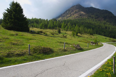 Panoramic view of road amidst trees against sky