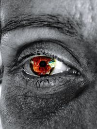 Extreme close up of human eye