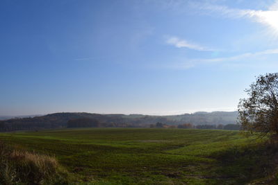 Scenic view of landscape against sky