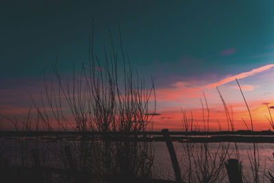 Silhouette plants by lake against sky during sunset