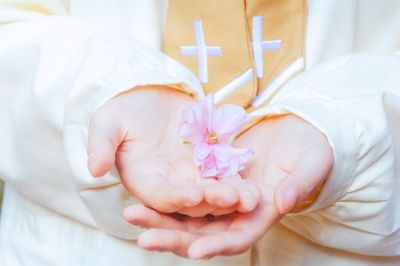 Close-up of hand holding white rose flower