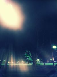 Illuminated trees against sky at night