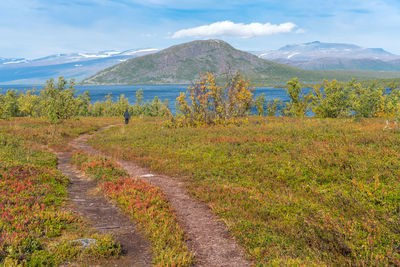 Man walks down to lake deep in the swedish lapland. abisko national park, sweden. 